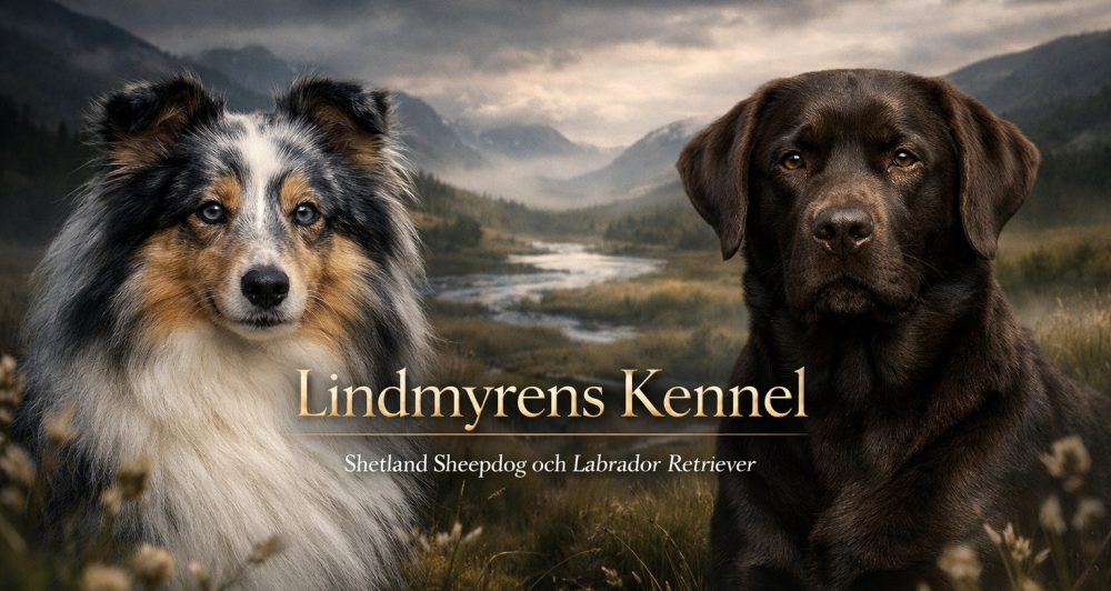 Lindmyrens Kennel