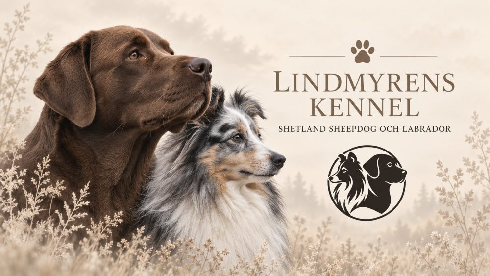 Lindmyrens Kennel