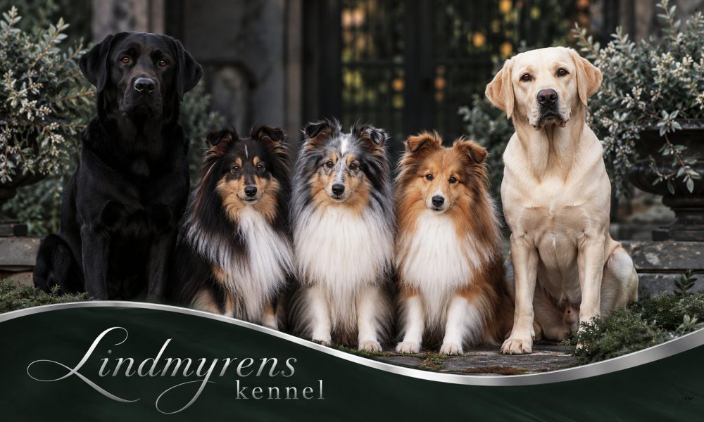Lindmyrens Kennel